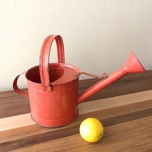 perfectly rustic red/orange antique watering can
